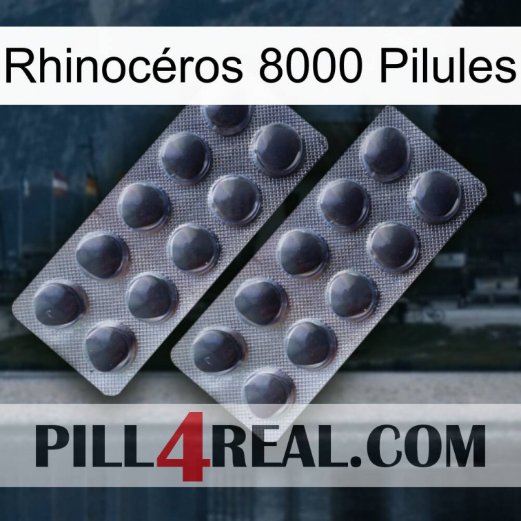 Rhinocéros 8000 Pilules 31